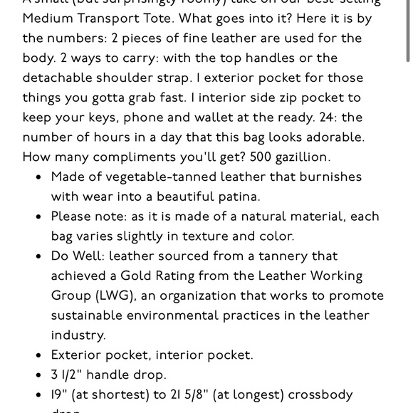 *NWT* Madewell Small Transport Zip Crossbody - Picture 6 of 8